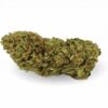 Weed Coast | O.G. Bud CBD ⚡Sfuso - greenhouse