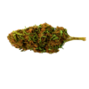 420 Eshop | Ak-47 Invernadero ⚡Sfuso - outdoor