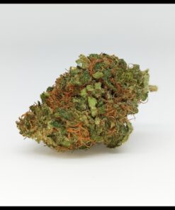 420 Solution | Mooncookies ⚡Sfuso - greenhouse