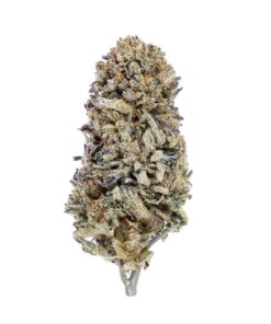 420 Eshop | BZ1 CBD ⚡Sfuso - greenhouse