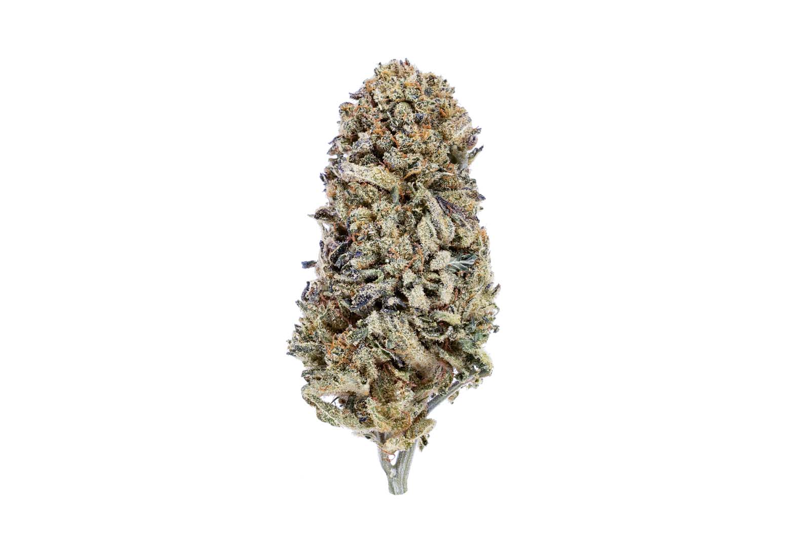 420 Eshop | BZ1 CBD ⚡Sfuso - greenhouse