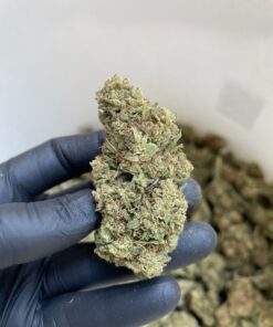 Farm Grow| Ganja Cannatonic CBD ⚡Sfuso - outdoor