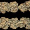 420 Eshop | Lemon Amnesia CBD ⚡Sfuso - greenhouse