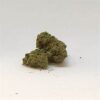 Ever Green | Citron CBD ⚡Sfuso - outdoor