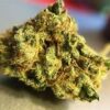 Ever Green | BUBBLE BERRY ⚡Sfuso - outdoor