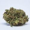 Marijuana.it | Awall CBD ⚡Sfuso - greenhouse