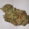 Weed Coast | Clinic CBD  ⚡Sfuso - outdoor