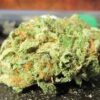 Weed Coast | BUBBLE BERRY ⚡Sfuso - outdoor