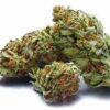 420 Eshop | Fantasy CBD ⚡Sfuso - greenhouse