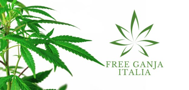 Free Ganja Italia