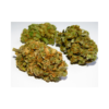 CBD specialist | Orange ⚡Sfuso - indoor