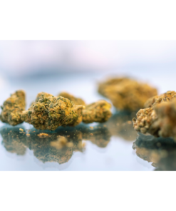 WeedyVonka | Small Bud Blueberry ⚡Sfuso - indoor
