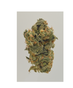 Hemp Bazar | OG KUSH ⚡Sfuso -  greenhouse