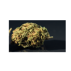 Hemp Bazar | SUPER AK 47 ⚡Sfuso - indoor