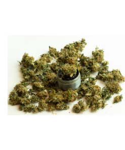 Ganja dei Ribelli | Lemon ⚡Sfuso - greenhouse