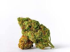 Madame weed| Choco Bud ⚡Sfuso - indoor