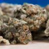 OldWeedWest | SwissCandy ⚡Sfuso - indoor