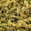 Free Ganja Italia | Critical ⚡Sfuso - indoor
