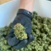 Farm Grow| ⚡Sfuso - outdoor
