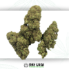 OldWeedWest | Marley ⚡Sfuso - greenhouse