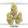 Farm Grow| Santa Maria CBD ⚡Sfuso - outdoor
