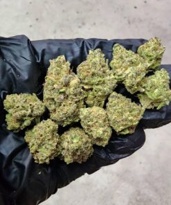 Babilogna | Sage Stone - greenhouse