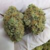 City Jangle | Citrus Rush 100 Grammi - outdoor