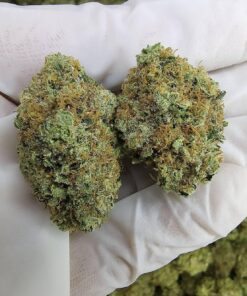 City Jangle | Citrus Rush 100 Grammi - outdoor