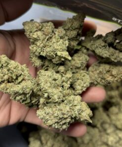 City Jangle | Mint Frost 100 Grammi - outdoor