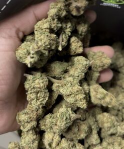 City Jangle | Blossom Cloud 100 Grammi - outdoor