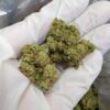 City Jangle | Ocean Mist 100 Grammi - outdoor