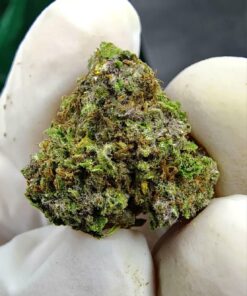 City Jangle | Amber Blaze 100 Grammi - outdoor