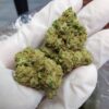 City Jangle | Silver Sky 100 Grammi - greenhouse