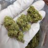 City Jangle | Golden Flame 100 Grammi - greenhouse