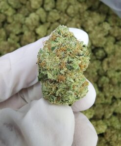 City Jangle | Crystal Spark 100 Grammi - outdoor