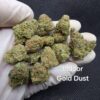 City Jangle | Gold Dust 100 Grammi - indoor