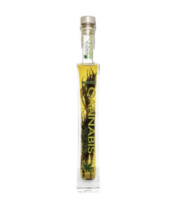 Euphoria Spirit | Cannabis Vodka – 200 ml con pianta di canapa decorativa