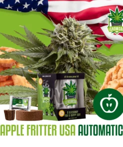 igrowcan | APPLE FRITTER AUTO (IGC)