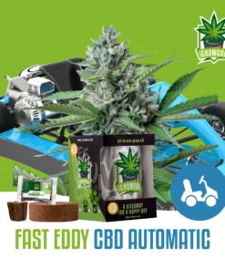 igrowcan | FAST EDDY - CBD AUTO (IGC)