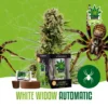 igrowcan | WHITE WIDOW AUTO (IGC)