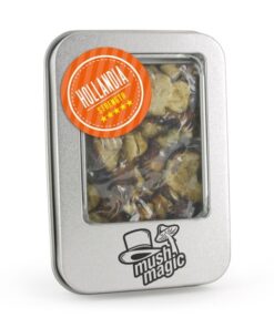 Mush Magic | TARTUFI HOLLANDIA