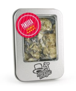 Mush Magic | TARTUFI PANDORA