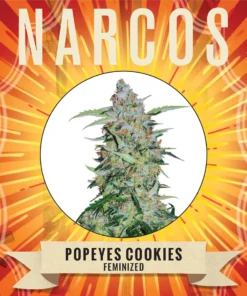 Narcos Seeds | NARCOS Popeyes Cookies
