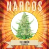 Narcos Seeds | NARCOS El Limón