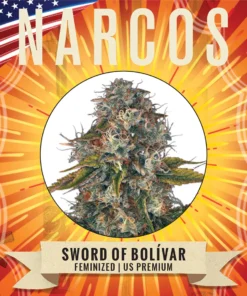 Narcos Seeds | NARCOS Sword of Bolívar