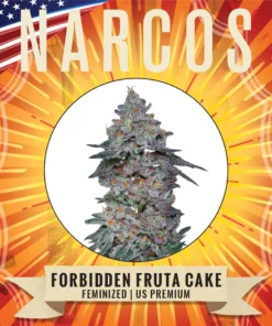 Narcos Seeds | NARCOS Forbidden Fruta Cake