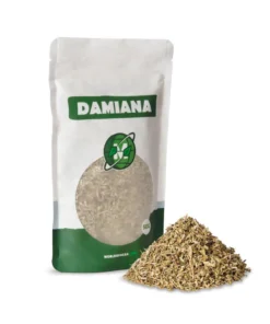 Maka Salvia | DAMIANA