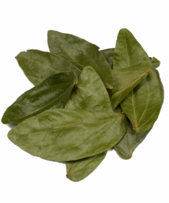 Psychoactive Herbs | Calliandra Angustifolia Bobinsana Foglie