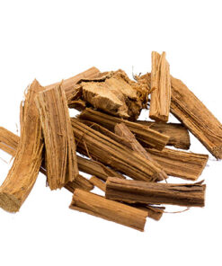 Psychoactive Herbs | Banisteriopsis caapi  Red  Rojo