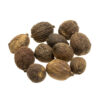 Psychoactive Herbs | Catunaregan spinosa  Dreamnuts